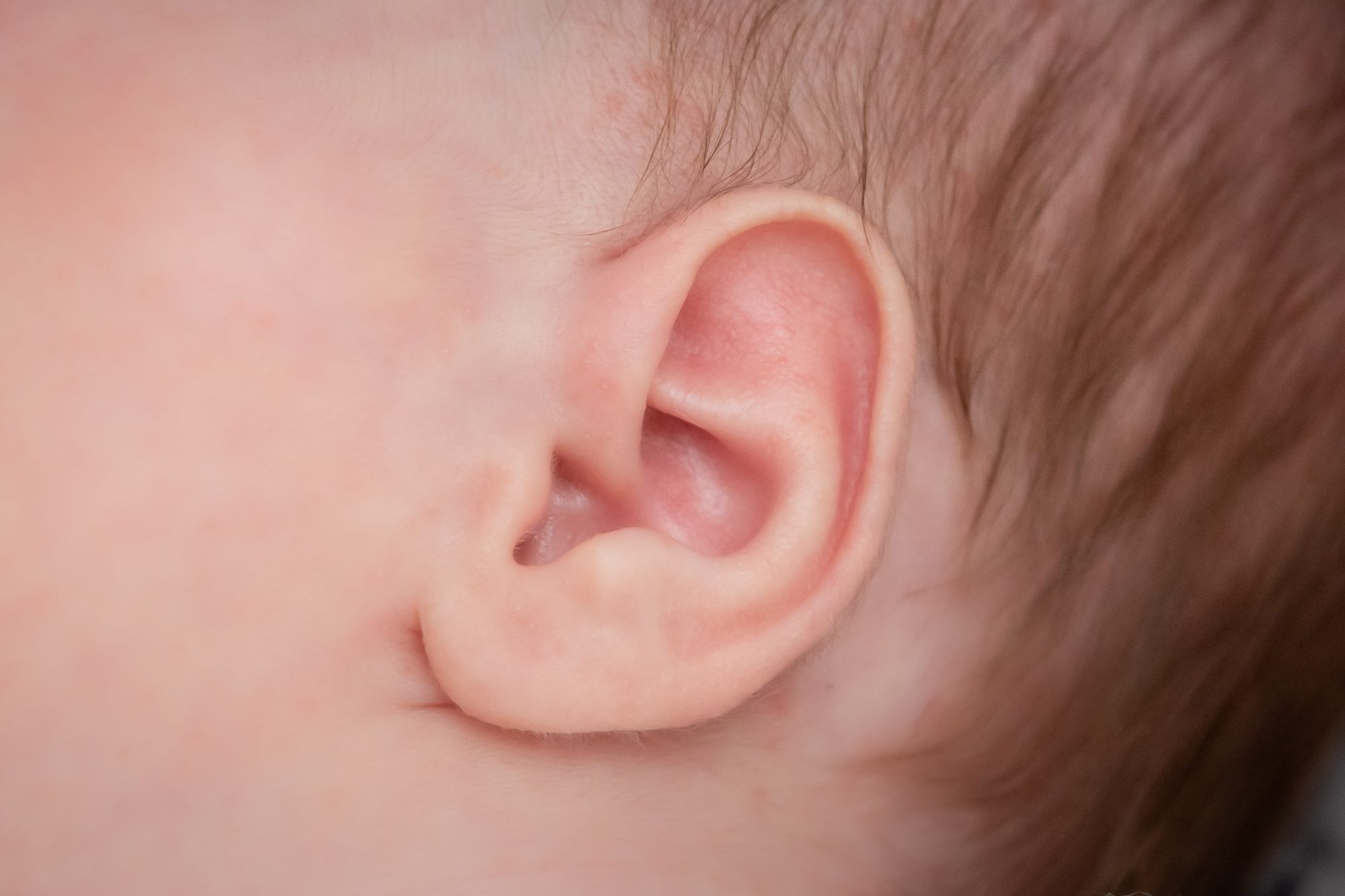 Portofoliu Botez - fotografie 34